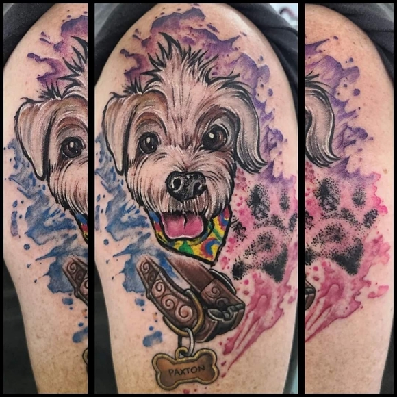 Meet your Posher, Shelly - Picture 5 of 16